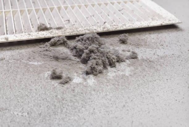 Best Air Duct Cleaning Near Me  in White Pigeon, MI