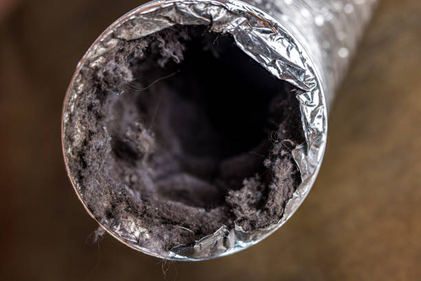 Best Air Duct Cleaning Company Near Me  in White Pigeon, MI