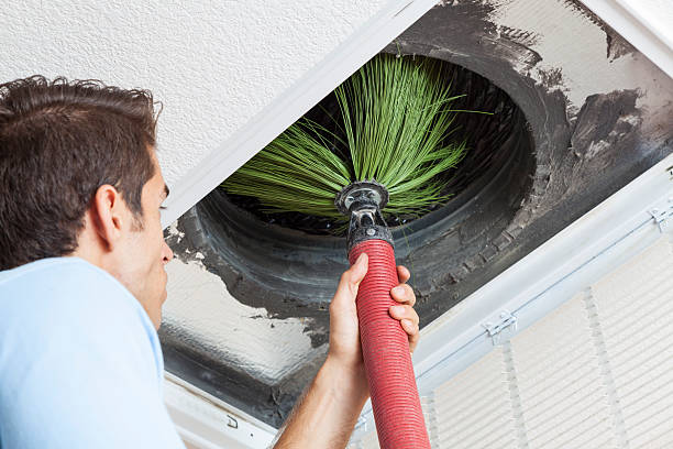 Best Air Duct Sanitizing Services  in White Pigeon, MI